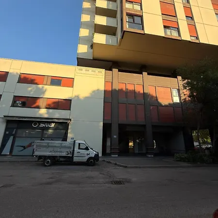 Lazy Alpaca * Verona