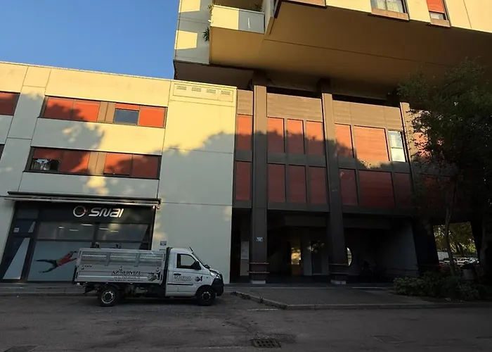 Lazy Alpaca * فيرونا