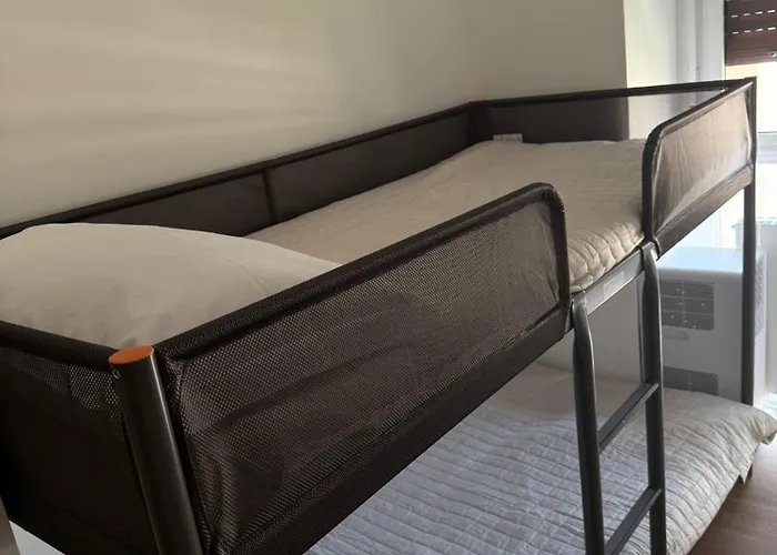 Lazy Alpaca * فيرونا