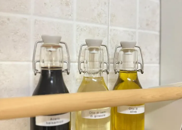 Lazy Alpaca فيرونا